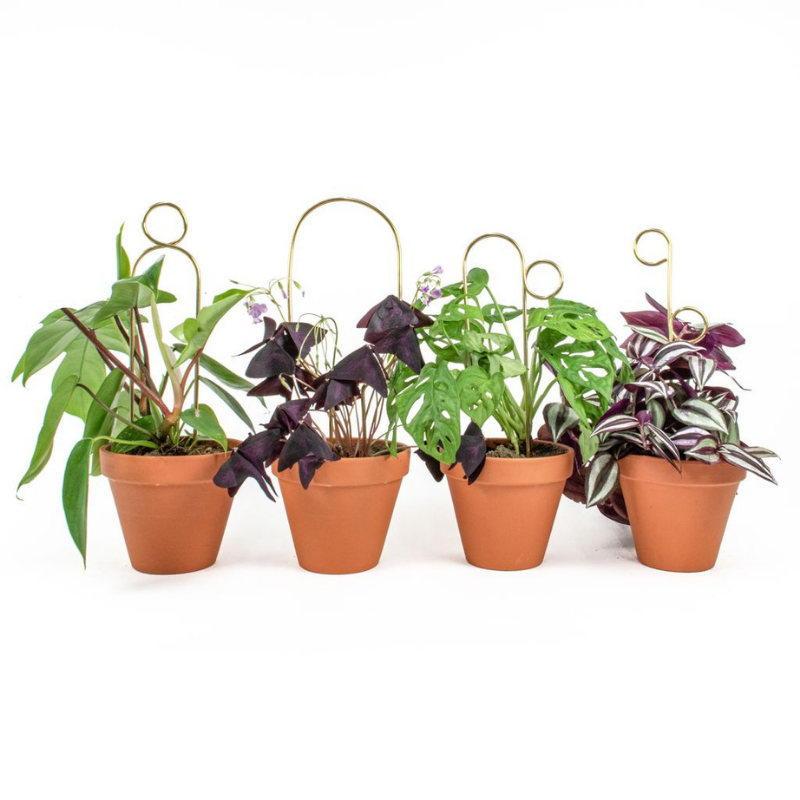 Mini-Rankhilfe “Pompom” von Botanopia | 34 cm