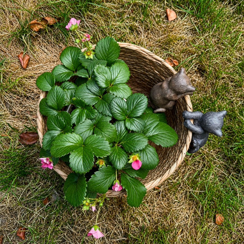 Katzen-Blumentopf-Anhänger aus Harz – verspielte Gartendeko 8 cm