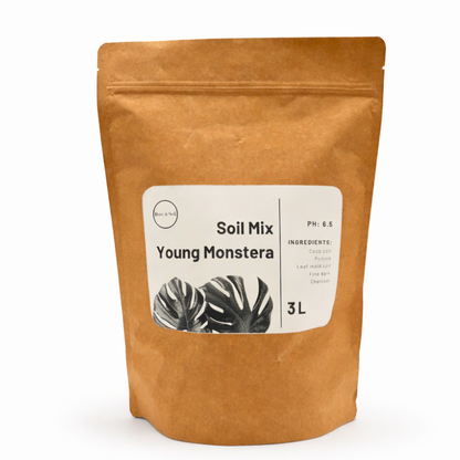 Junge Monstera & Aroid Potting Mix | Spezielle Erdmischung für Jungpflanzen