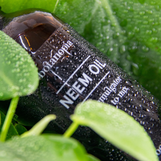 NEEMÖL 100 ML - VON BOTANOPIA