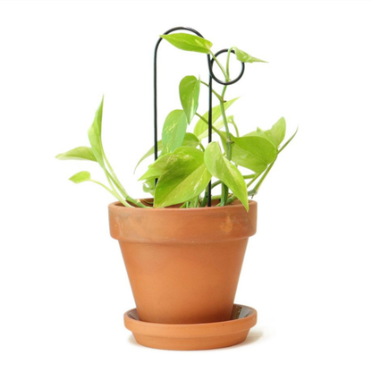 Mini-Rankhilfe “Loop” von Botanopia | 32 cm