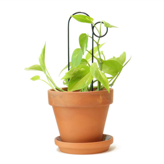 Mini-Rankhilfe “Loop” von Botanopia | 32 cm