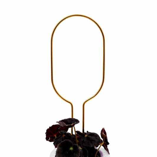 Mini-Rankhilfe “Hoop” von Botanopia | 32 cm