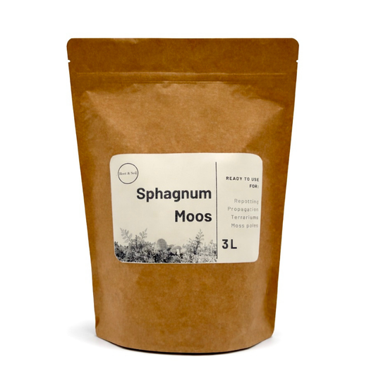 Gebrauchsfertige Sphagnum- Moosfaser | Steriles Sphagnum-Moos (3 L)