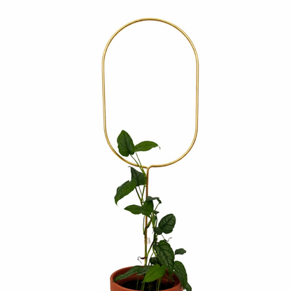 Rankhilfe “Arch” von Botanopia | 70 cm