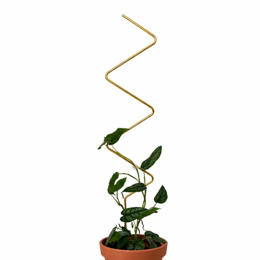 Rankhilfe “ZigZag” von Botanopia | 70 cm