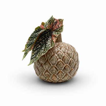Dekorative Knospenvase, 15.7cm