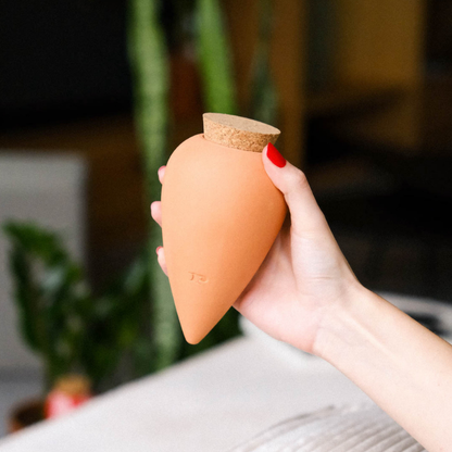 Olla Terrakotta von Pepín – Pflanzgefäß zur natürlichen Bewässerung
