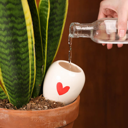 Olla “Heart” von Pepín – Pflanzgefäß zur natürlichen Bewässerung