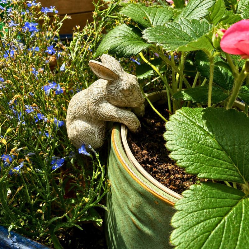 Pot Hanger Pig with Glasses, 9 cm
