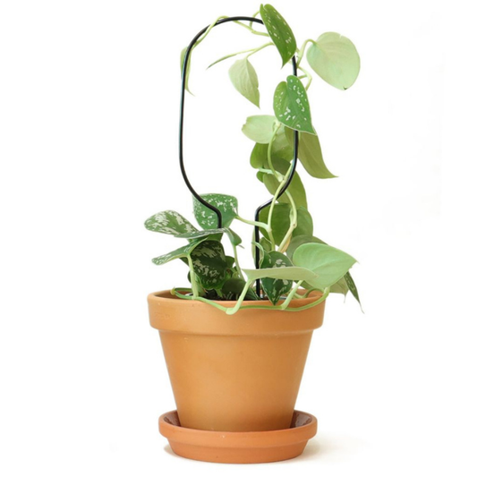 Mini-Rankhilfe “Hoop” von Botanopia | 32 cm