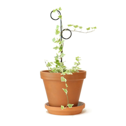 Mini-Rankhilfe “Perch” von Botanopia | 32 cm