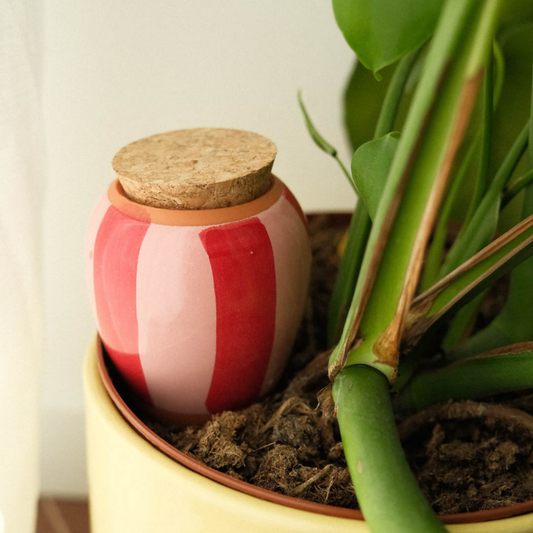 Olla “Pink and red Stripes” von Pepín – Pflanzgefäß zur natürlichen Bewässerung