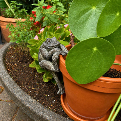 Blumentopf-Hänger aus Harz Frosch 14 cm