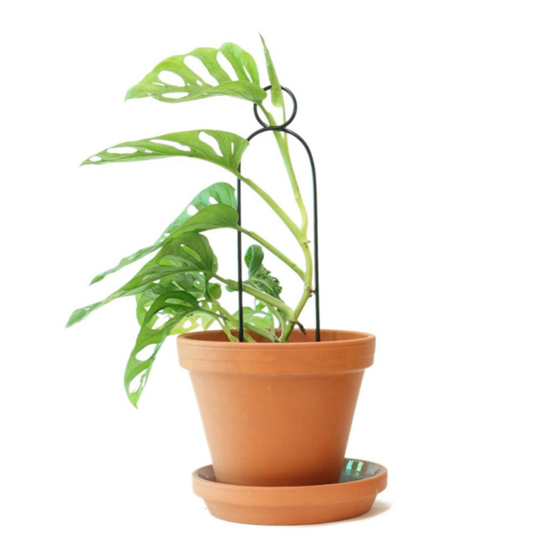 Mini-Rankhilfe “Pompom” von Botanopia | 34 cm