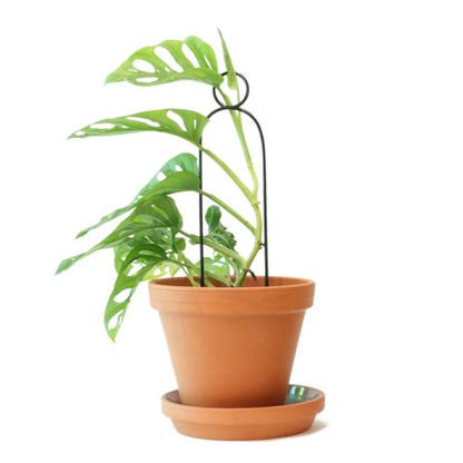Mini-Rankhilfe “Pompom” von Botanopia | 34 cm