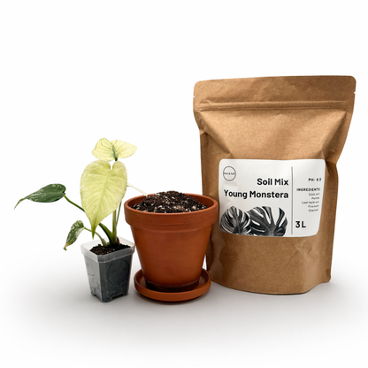 Junge Monstera & Aroid Potting Mix | Spezielle Erdmischung für Jungpflanzen