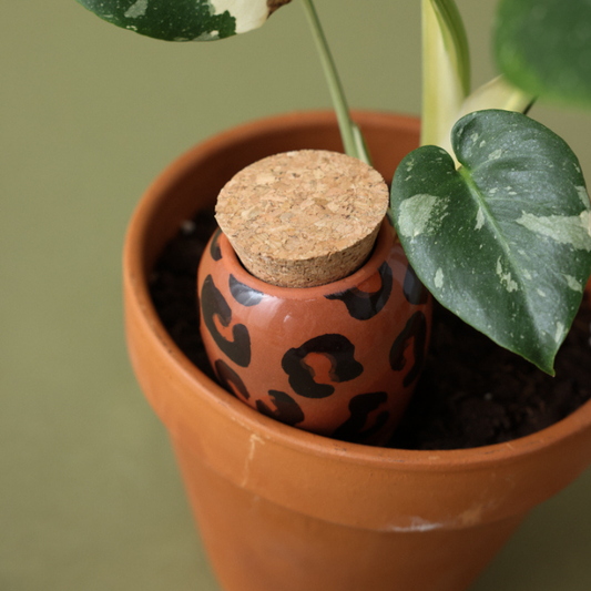 Neu! Olla "Macchiato Leopard" von Pepín – Pflanzgefäß zur natürlichen Bewässerung