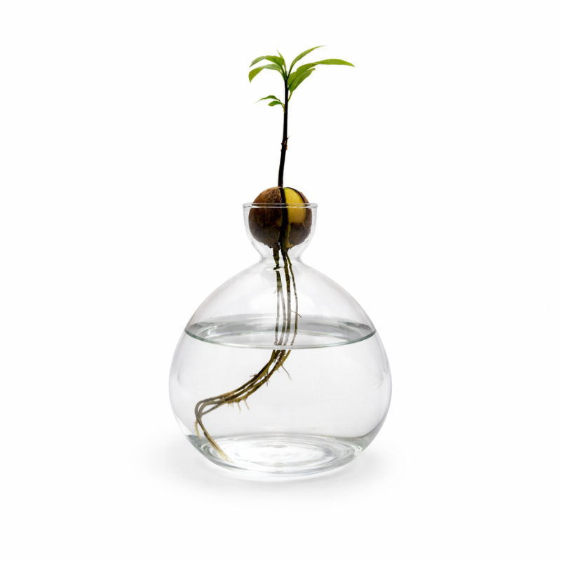 Avocado-Vase