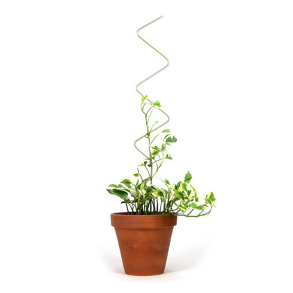 Rankhilfe “ZigZag” von Botanopia | 70 cm