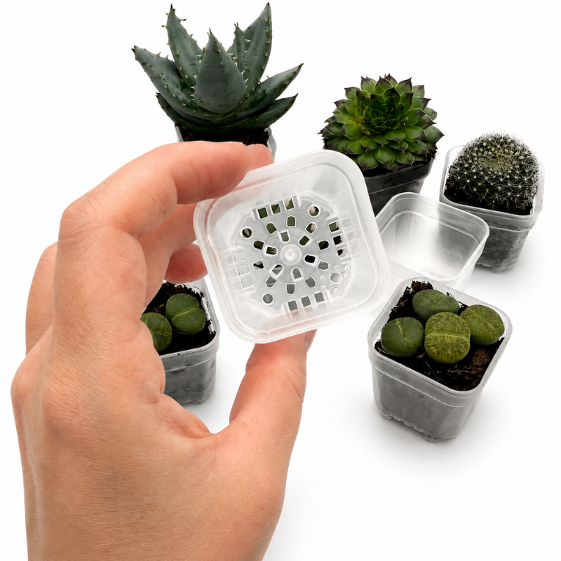 Halbtransparenter Mini-Pflanztopf mit Drainage