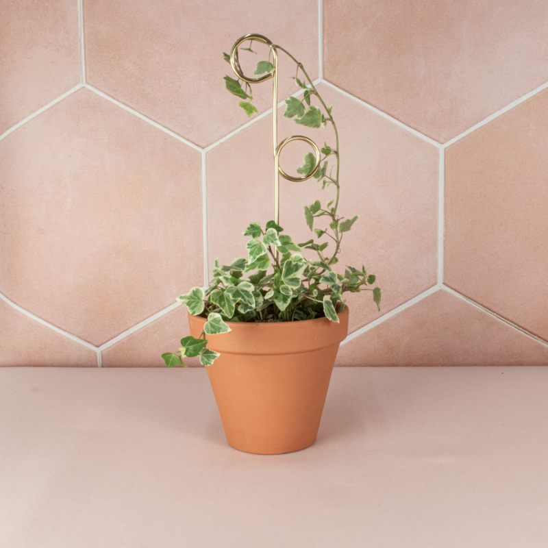 Mini-Rankhilfe “Perch” von Botanopia | 32 cm