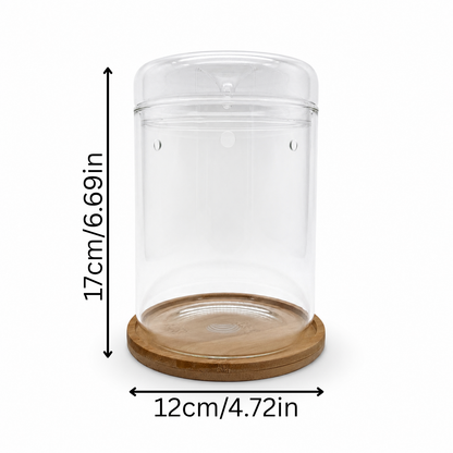 Kleines Gewächshaus 17 cm aus Glas mit Bambus-Untersetzer