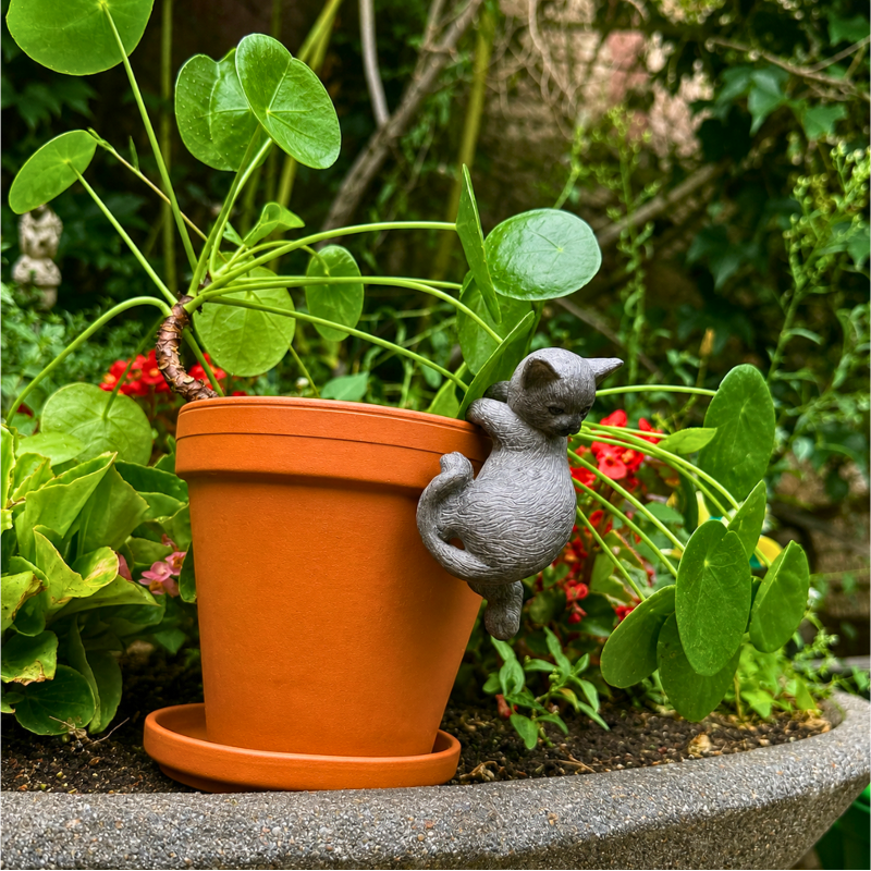 Katzen-Blumentopf-Anhänger aus Harz – verspielte Gartendeko 8 cm