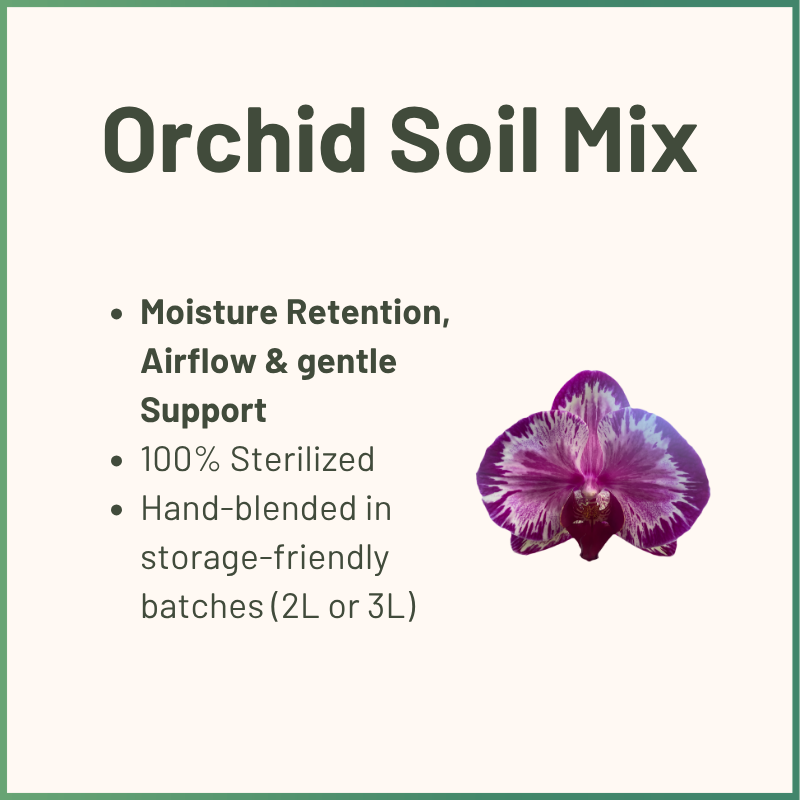 Orchideen-Topferde | Chunky Orchideensubstrat mit Rinde, Bims & Holzkohle | Handgefertigte Orchideen-Erde