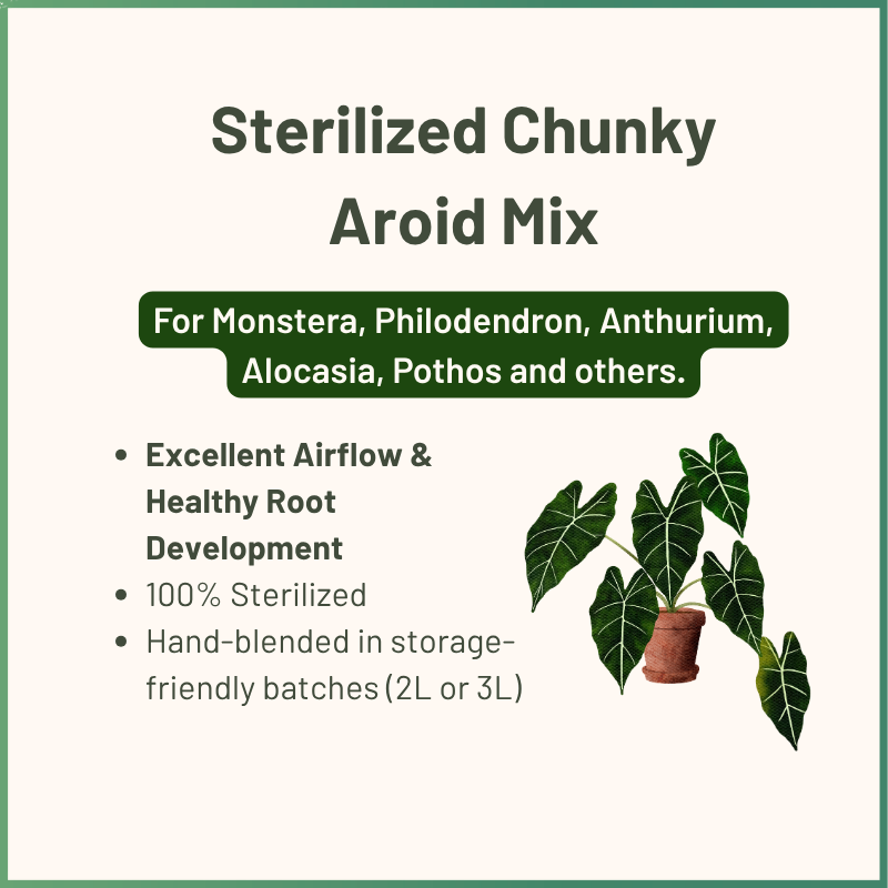Chunky Aroid Mix | Stark dränierendes Substrat für Aronstabgewächse