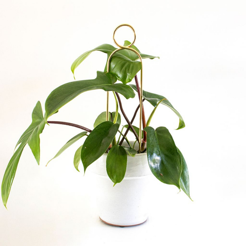 Mini-Rankhilfe “Pompom” von Botanopia | 34 cm