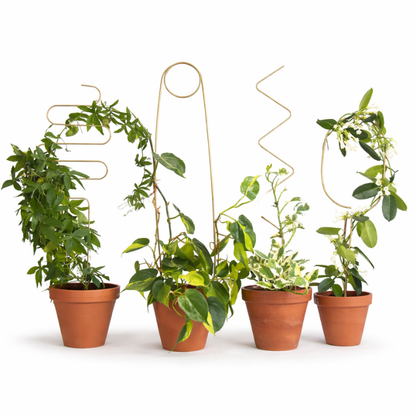 Rankhilfe “Arch” von Botanopia | 70 cm
