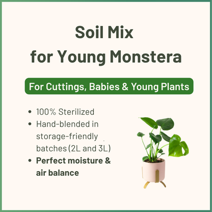 Junge Monstera & Aroid Potting Mix | Spezielle Erdmischung für Jungpflanzen