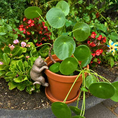 Katzen-Blumentopf-Anhänger aus Harz – verspielte Gartendeko 8 cm