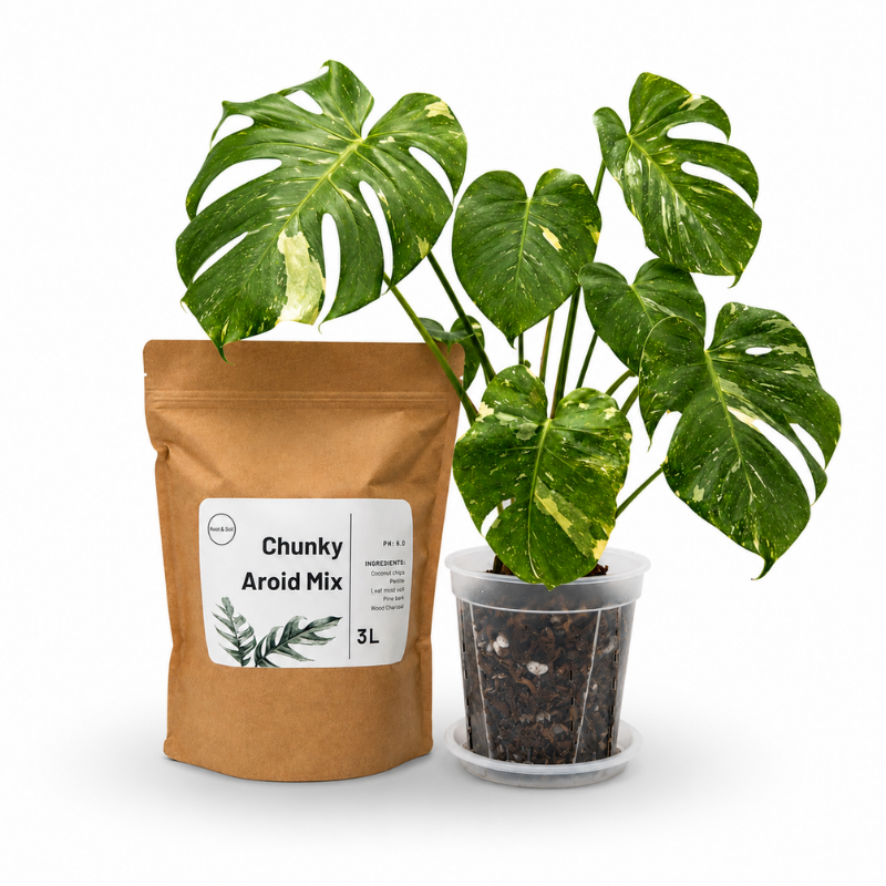 Chunky Aroid Mix | Stark dränierendes Substrat für Aronstabgewächse