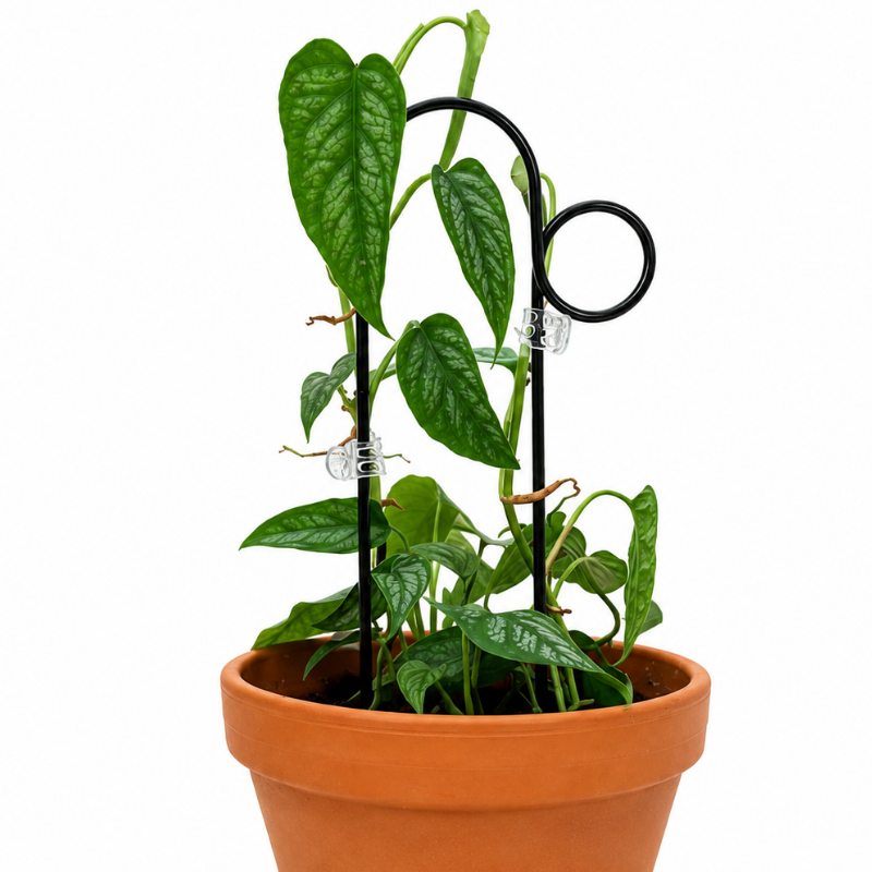 Mini-Rankhilfe “Loop” von Botanopia | 32 cm