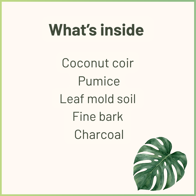 Junge Monstera & Aroid Potting Mix | Spezielle Erdmischung für Jungpflanzen