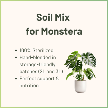 Spezialsubstrat für Monstera & Aroiden