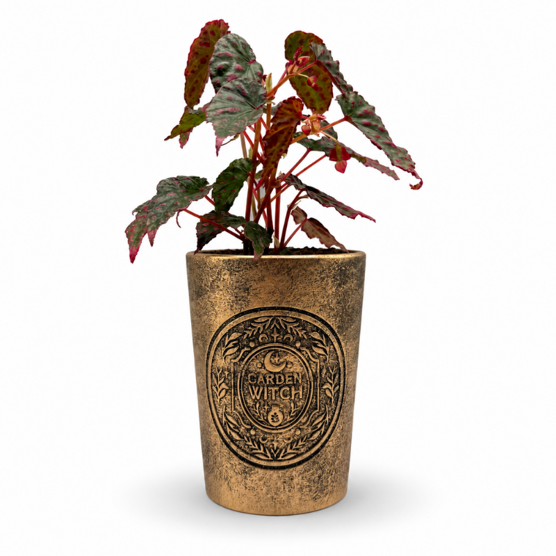 Terrakotta-Pflanztopf mit Bronze-Effekt „Garden Witch“