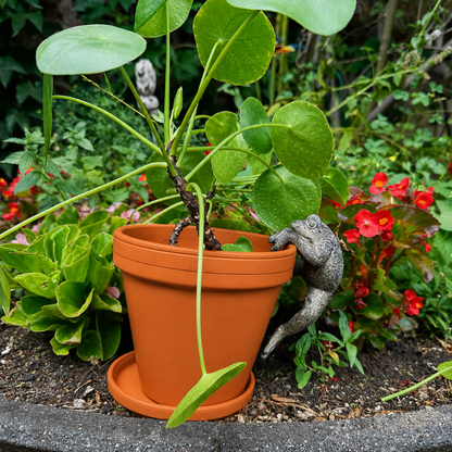 Blumentopf-Hänger aus Harz Frosch 14 cm