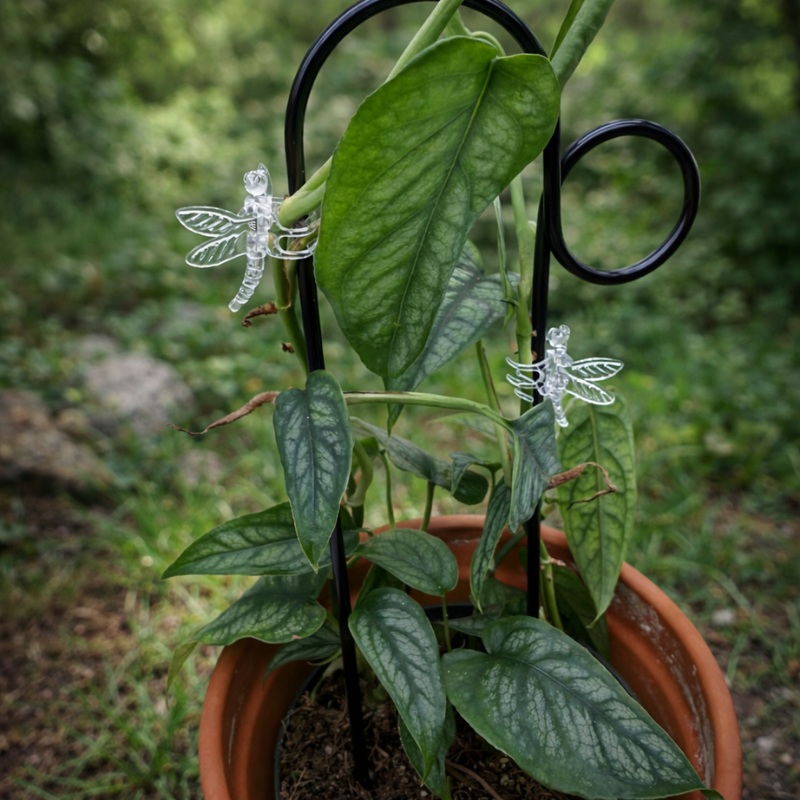 Mini-Rankhilfe “Loop” von Botanopia | 32 cm