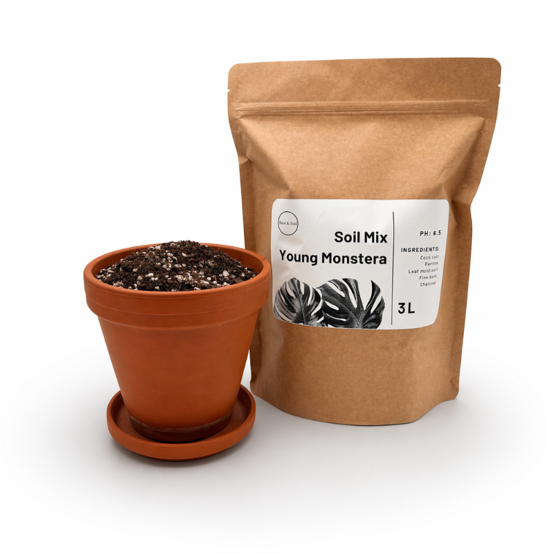 Junge Monstera & Aroid Potting Mix | Spezielle Erdmischung für Jungpflanzen