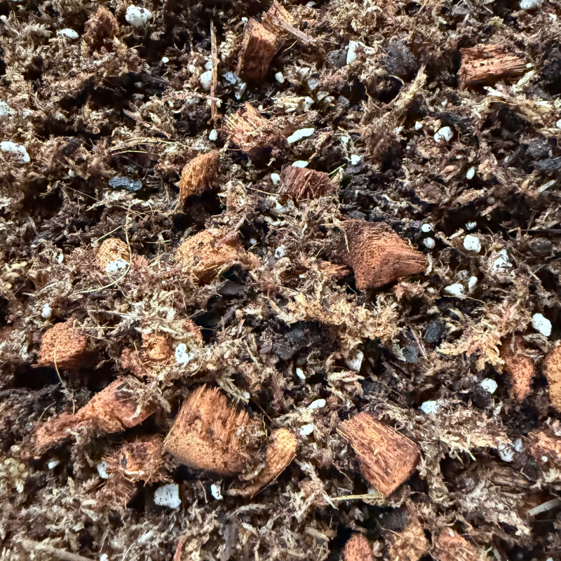 Orchid Substrate for Seedlings | Finely Tuned Mixture for Small Root Growth