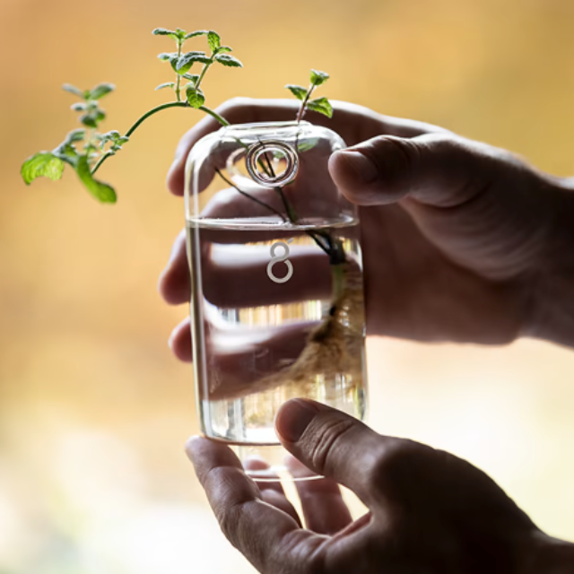 Greenfinity - Pflanztopf mit Selbstbewässerung und Schnittglas